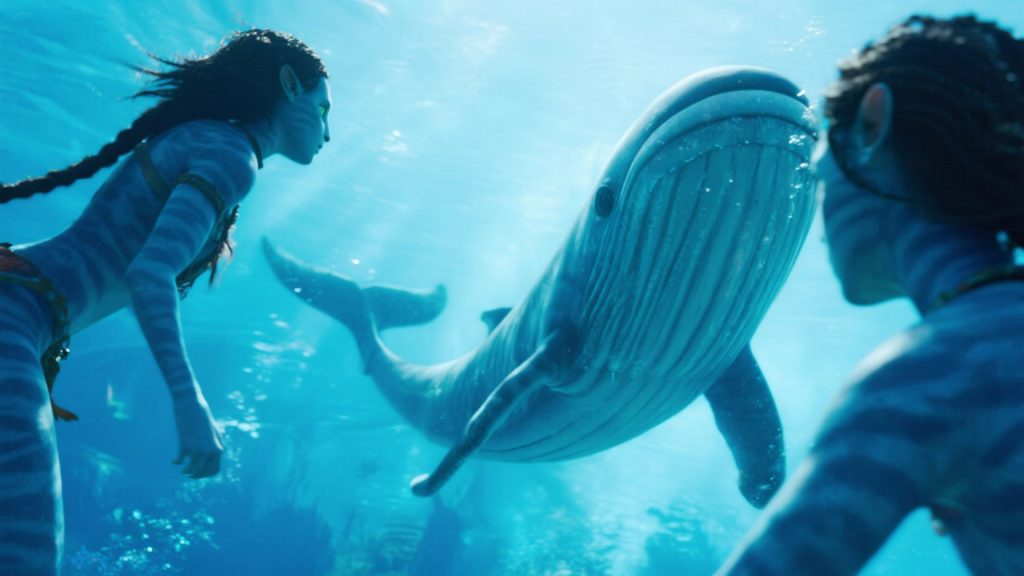 Tulkun Deep Dive